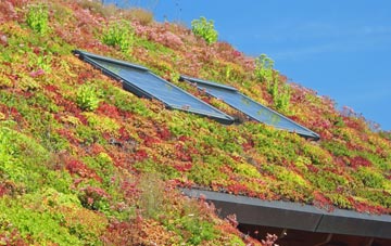 Spittal Of Glenshee living roof systems